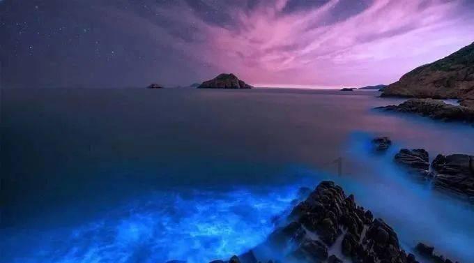 济南花灯艺人守艺20多年:纯手工制作,机器望尘莫及